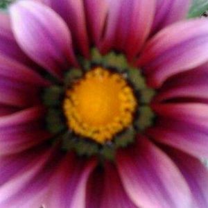 Meet your Posher, Lala